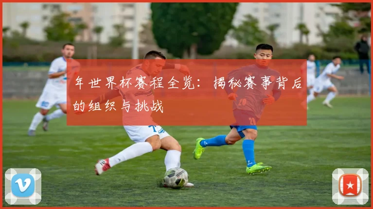 年世界杯赛程全览：揭秘赛事背后的组织与挑战
