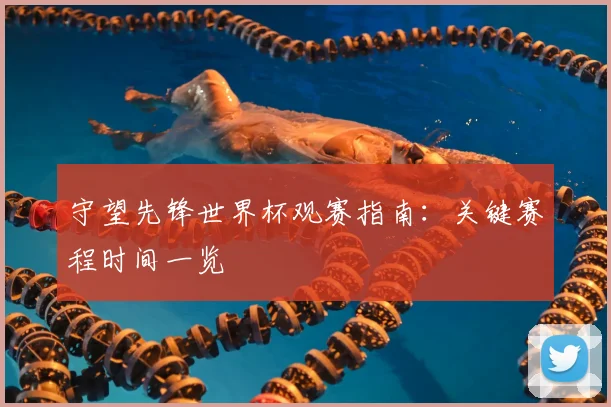 守望先锋世界杯观赛指南：关键赛程时间一览