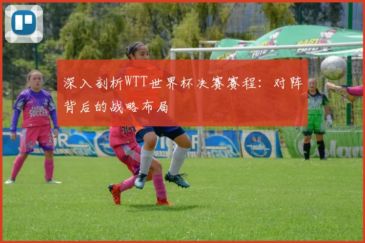 深入剖析WTT世界杯决赛赛程：对阵背后的战略布局