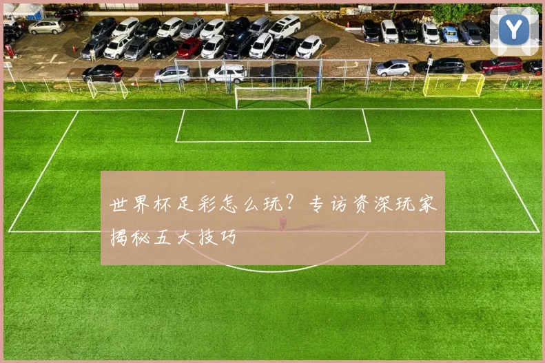 世界杯足彩怎么玩?专访资深玩家揭秘五大技巧