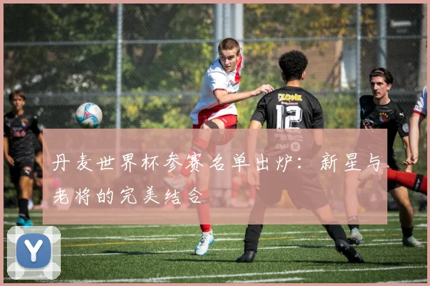 丹麦世界杯参赛名单出炉:新星与老将的完美结合