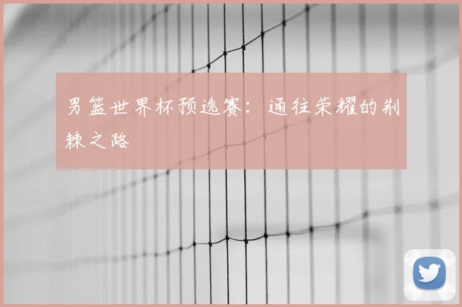 男篮世界杯预选赛：通往荣耀的荆棘之路