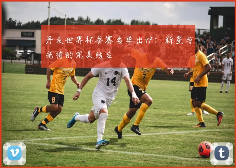丹麦世界杯参赛名单出炉:新星与老将的完美结合