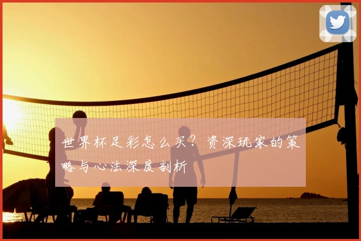 世界杯足彩怎么买?资深玩家的策略与心法深度剖析